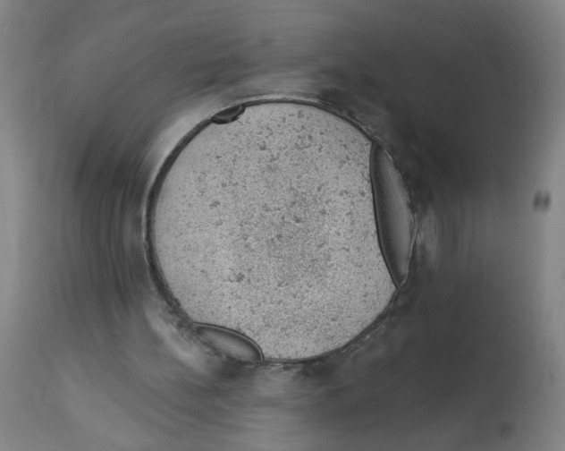 X0000112780148200909171344