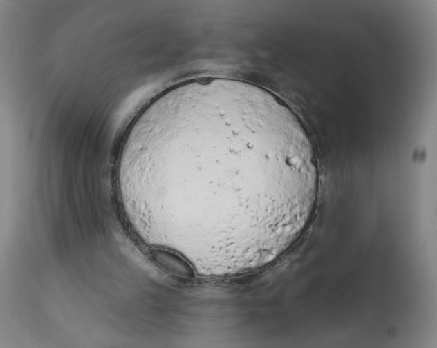 X0000112780149200909171344