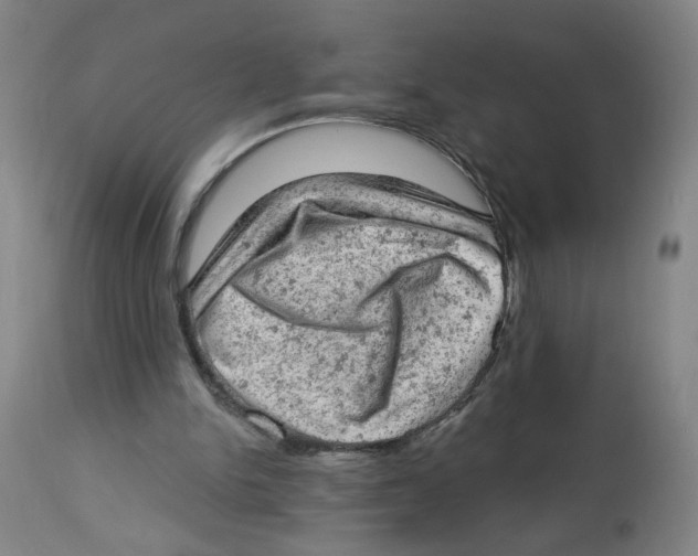 X0000112780150200909171344