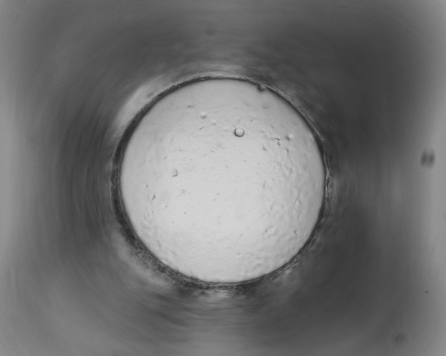 X0000112780151200909171344