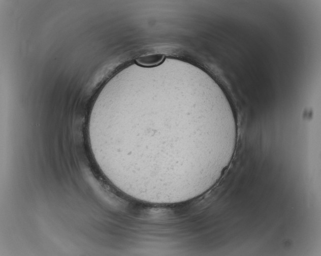 X0000112780154200909171345