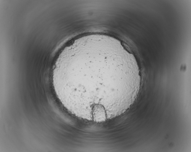 X0000112780155200909171345