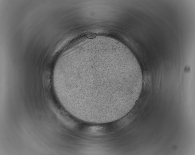 X0000112780158200909171345