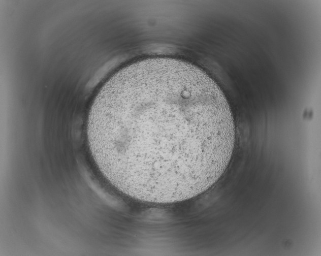 X0000112780159200909171345