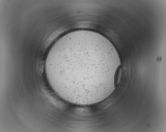 X0000112780160200909171345