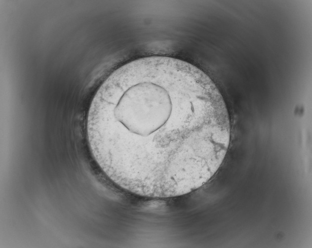 X0000112780162200909171345