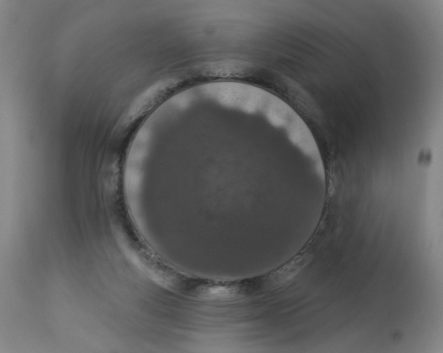 X0000112780163200909171345