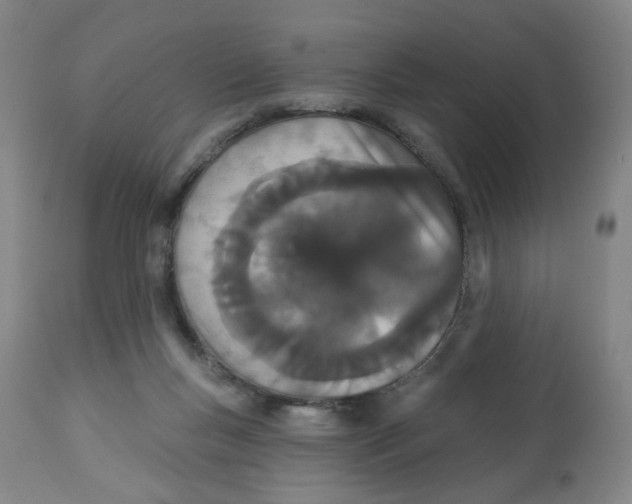 X0000112780167200909171345