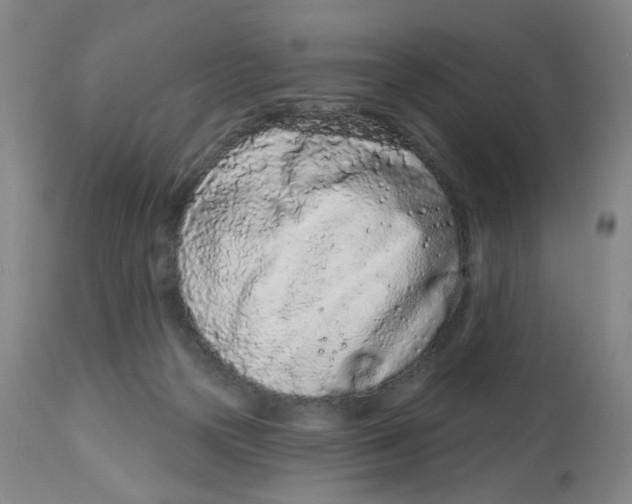 X0000112780169200909171345