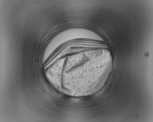 X0000112780170200909171345