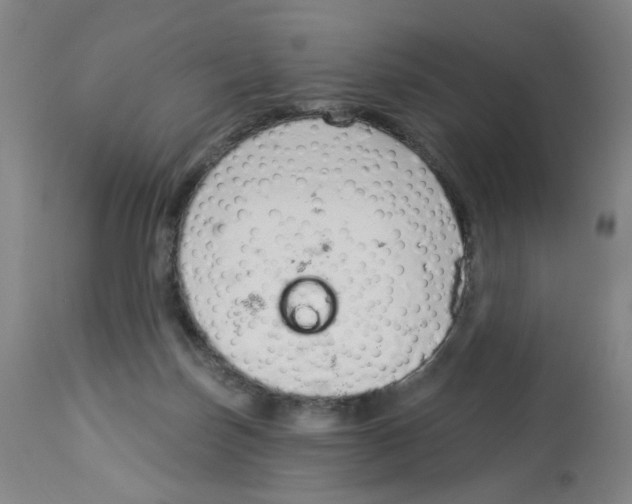 X0000112780171200909171345