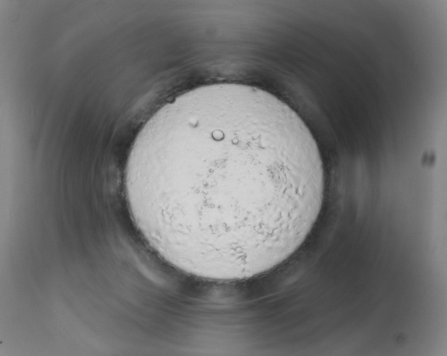 X0000112780173200909171345