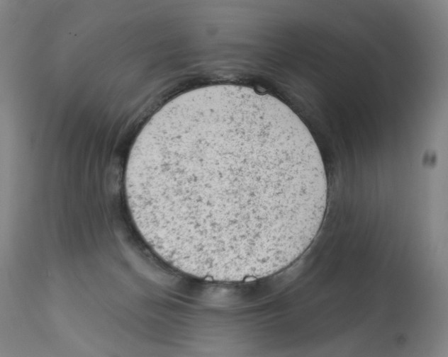 X0000112780174200909171345