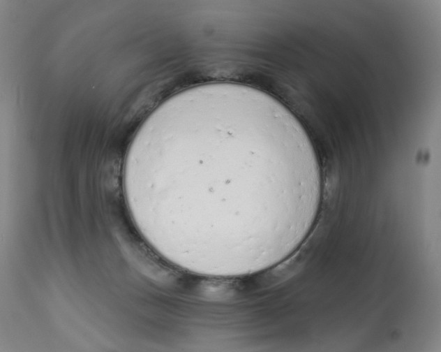 X0000112780175200909171345