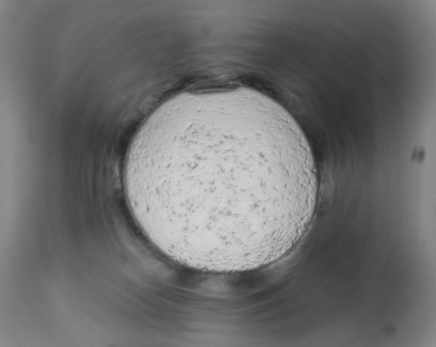 X0000112780182200909171345