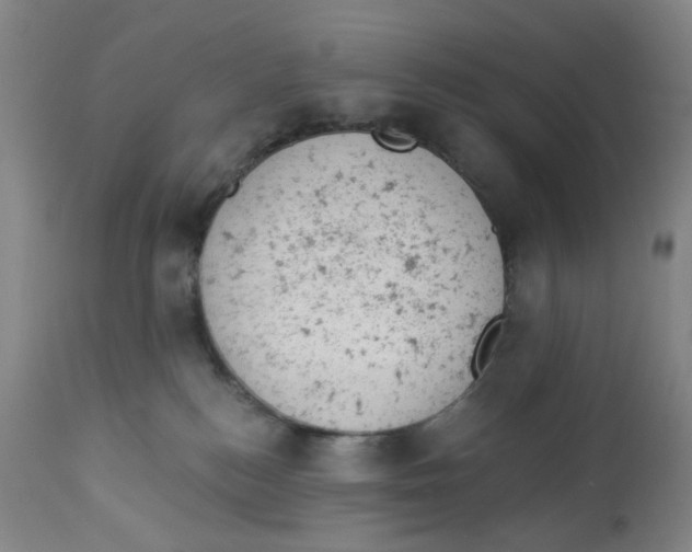 X0000112780184200909171345