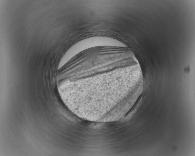 X0000112780186200909171345