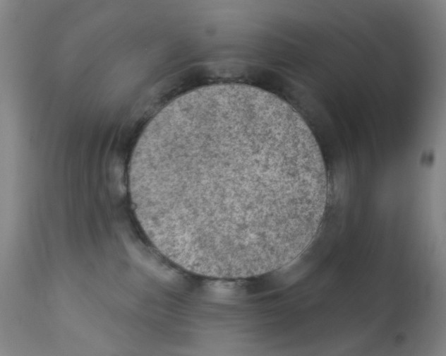 X0000112780187200909171345