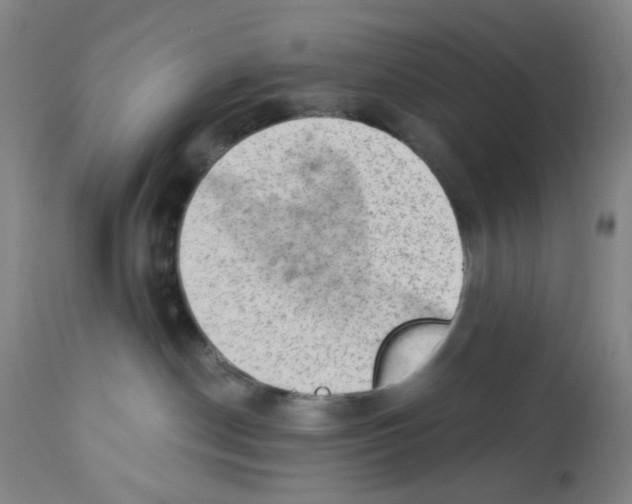 X0000112780190200909171345