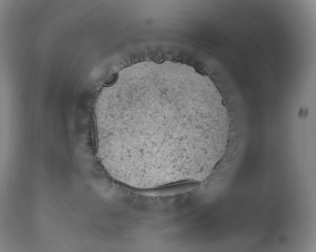 X0000112780192200909171345