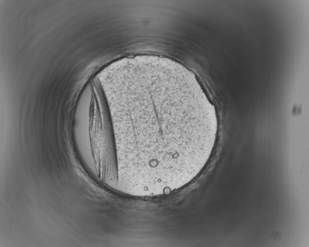 X0000112780193200909171344