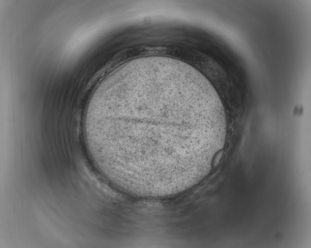 X0000112780194200909171344