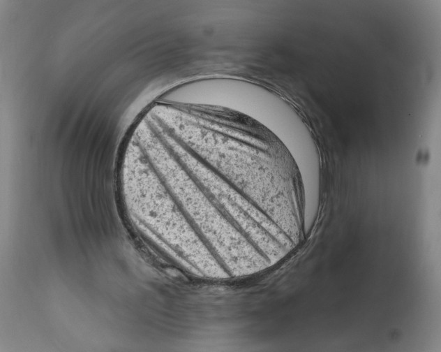 X0000112780195200909171344