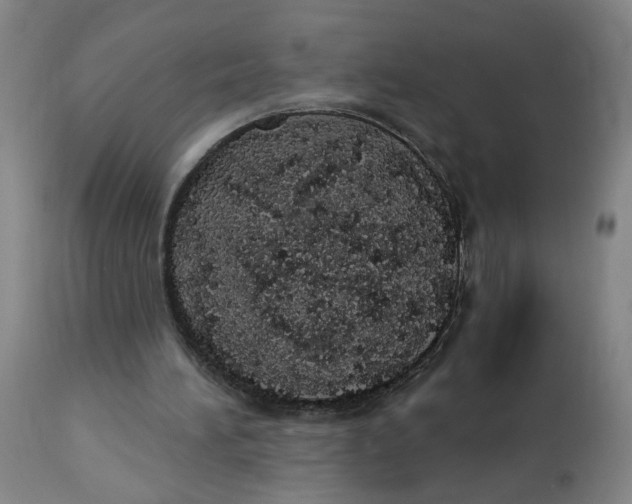 X0000112780196200909171344