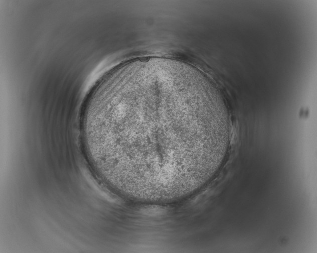 X0000112780198200909171344