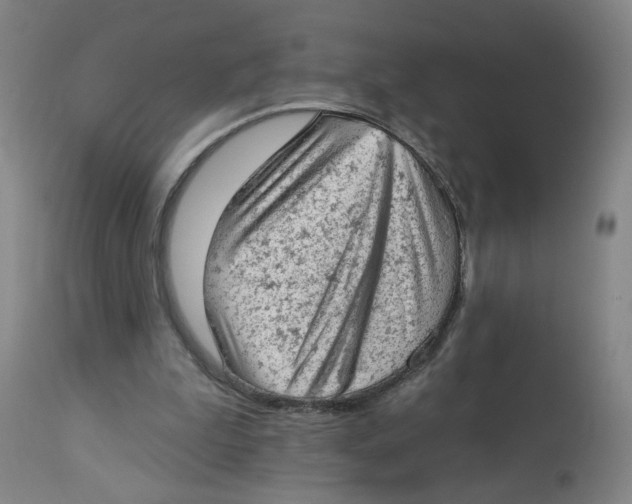 X0000112780199200909171344