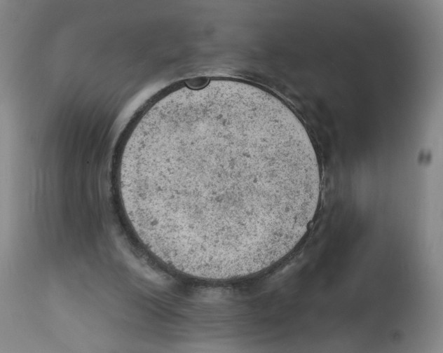 X0000112780200200909171344