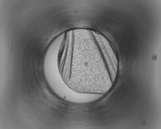 X0000112780201200909171344