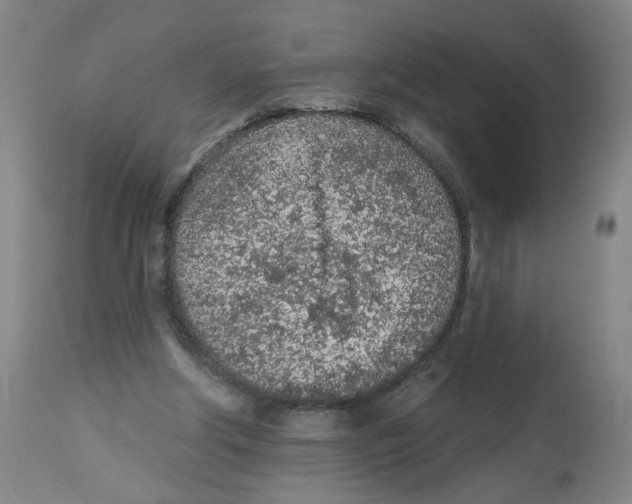 X0000112780202200909171344