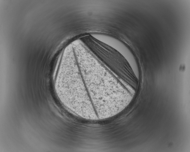 X0000112780203200909171344