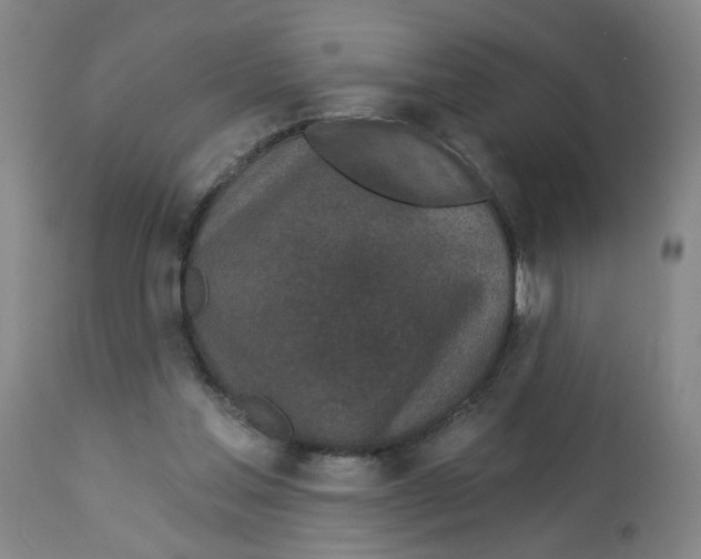 X0000112780205200909171344