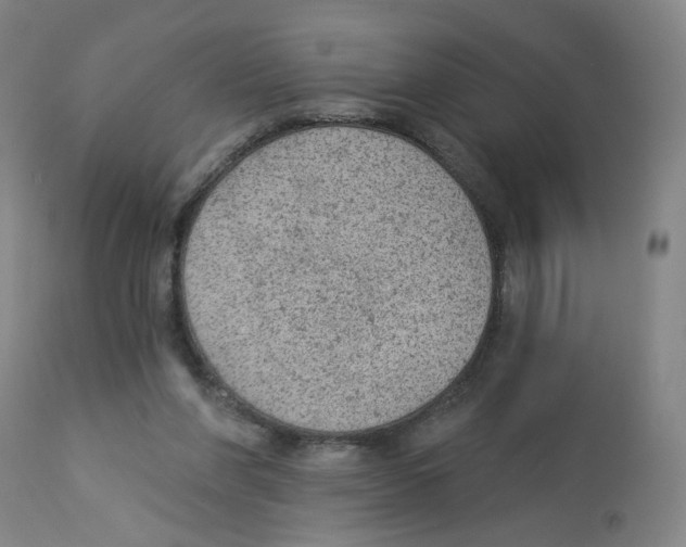 X0000112780206200909171344