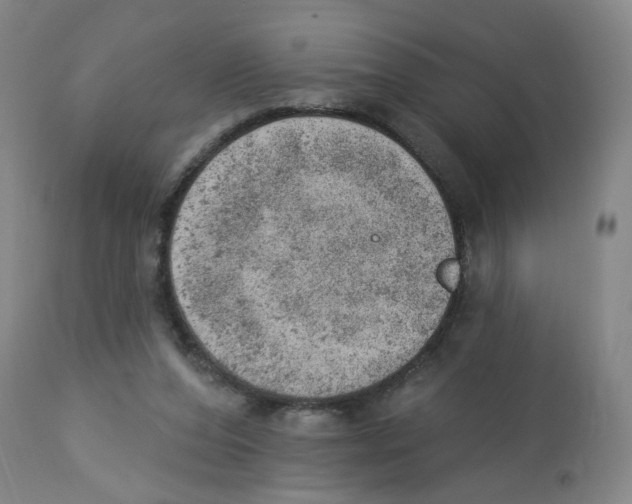 X0000112780208200909171344