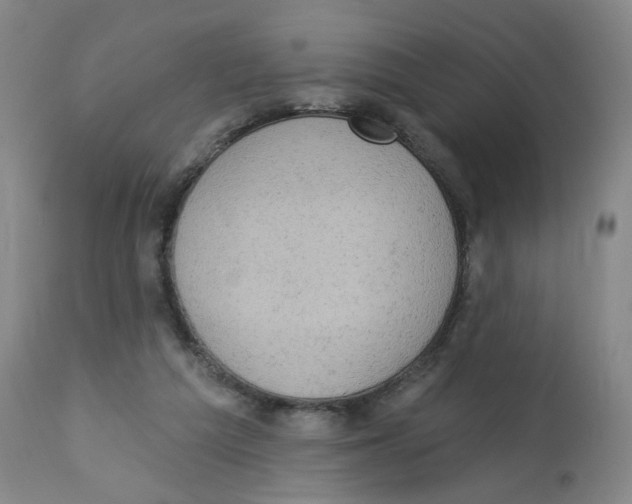 X0000112780209200909171344