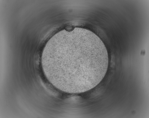 X0000112780210200909171344