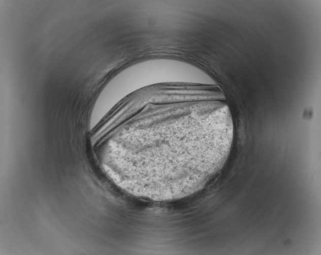 X0000112780211200909171344