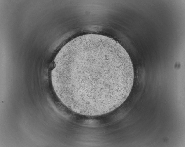 X0000112780212200909171344