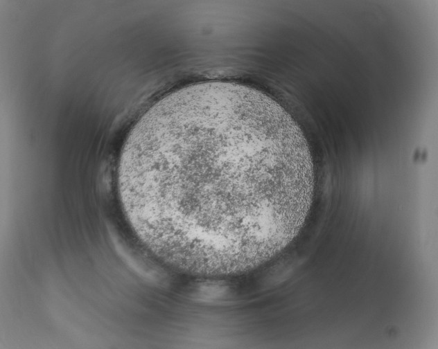 X0000112780214200909171344