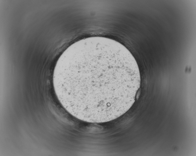 X0000112780215200909171344