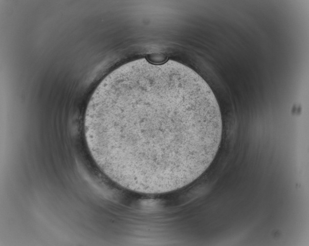 X0000112780216200909171344