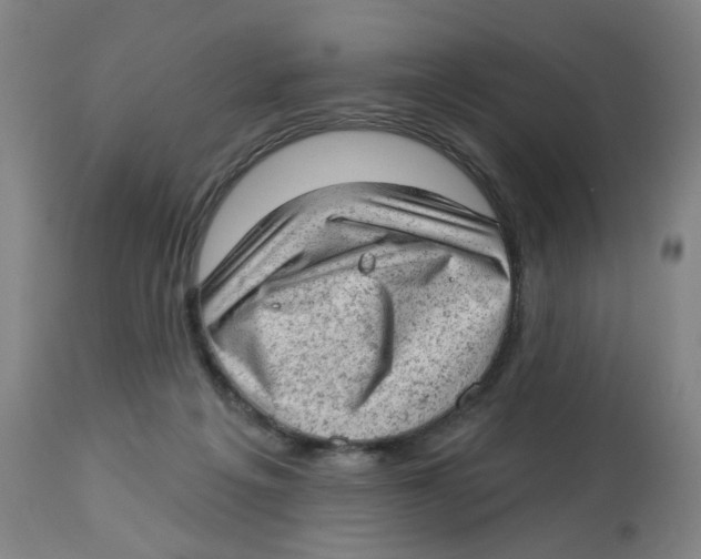 X0000112780217200909171344