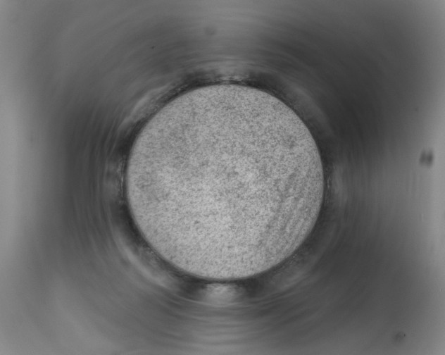 X0000112780218200909171344