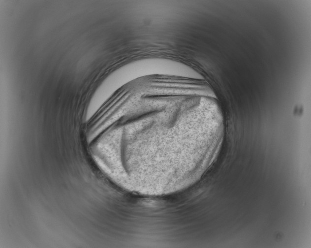 X0000112780221200909171344