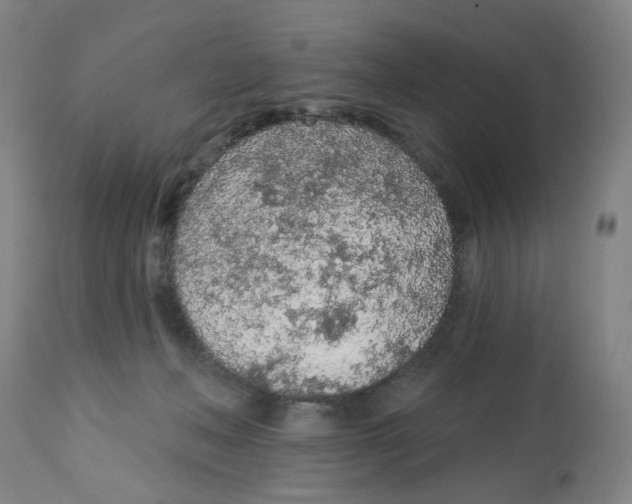 X0000112780222200909171344