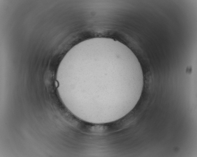 X0000112780225200909171344