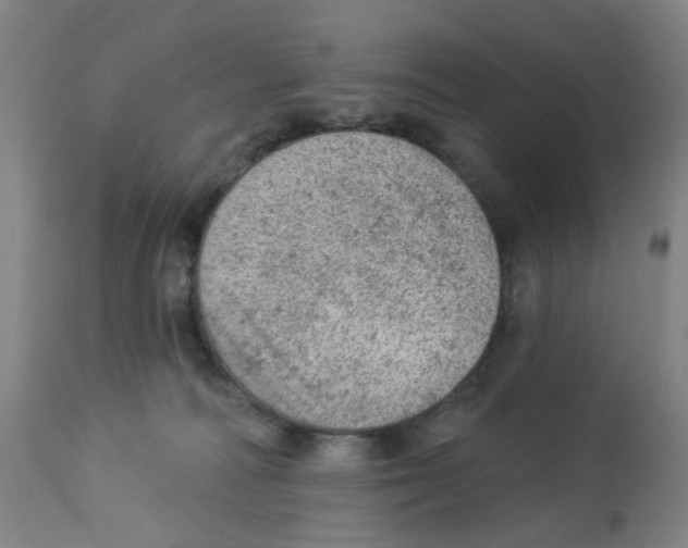 X0000112780226200909171344